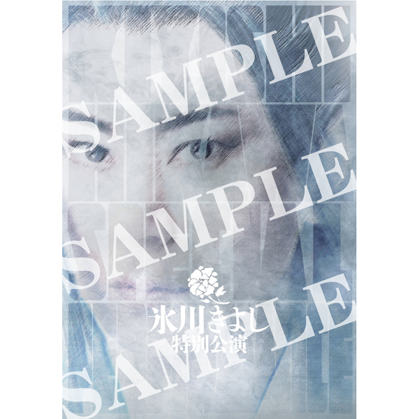 『氷川きよし特別公演』公演プログラム【他グッズと同梱】